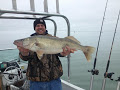 Share your Trophy Walleye Pics from this past season-image-jpeg