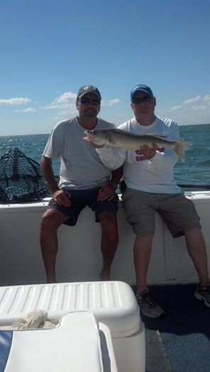 recent walleye action-july-2014-trolling-jpg