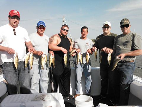 recent walleye action-sept-reef-perch-jpg