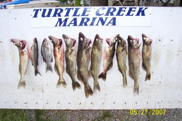 Mixed catch