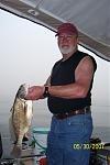 Freshwater Drum (sheepshead)