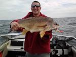 Massive Sheephead