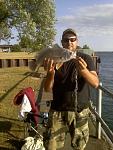 sheephead