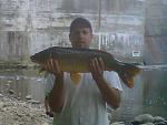 Carp