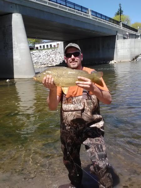 carp 2