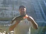 Big Bass