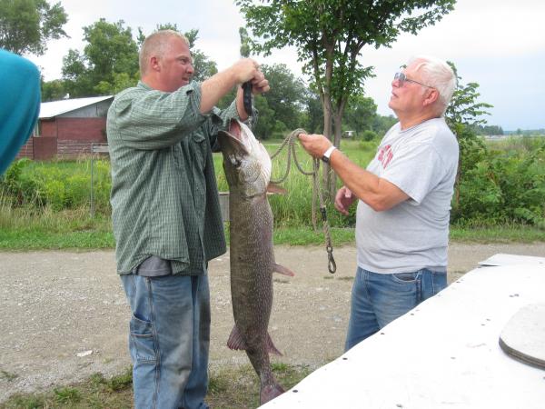 canada 26.5 lb. pike