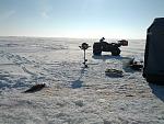 Sun reveals a few fish on the ice!