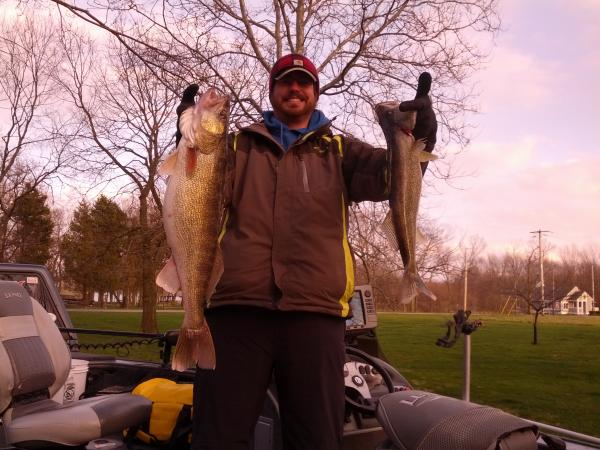 Couple Walleye I caught on my first ever trip to Kelly's Island