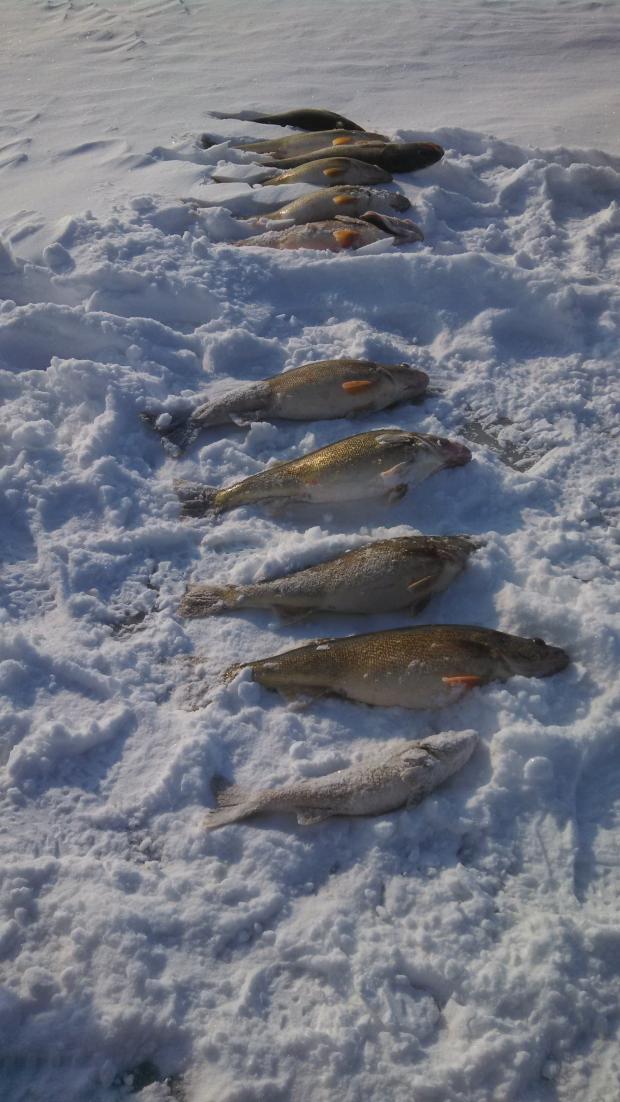 2015 ice fishing pics-img_20140209_151913_584-jpg