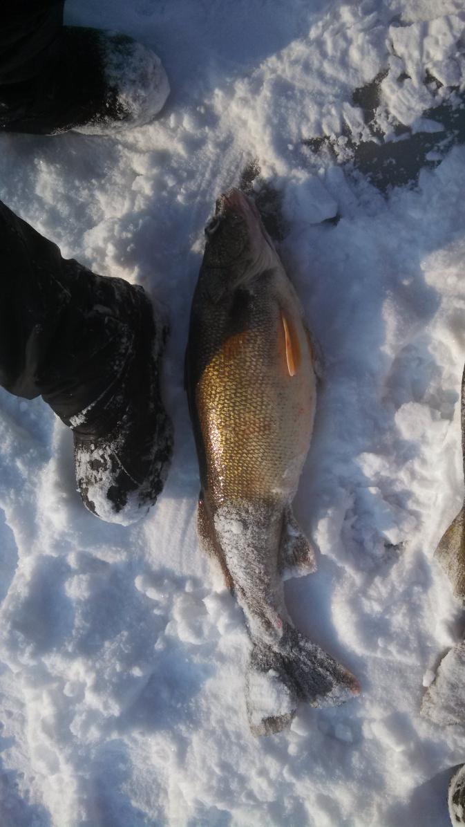 2015 ice fishing pics-img_20140209_151948_091-jpg