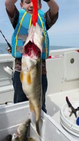 Look what I caught.-20150412_125937-jpg