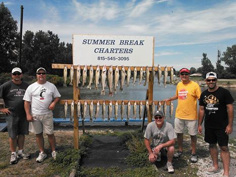 recent walleye action-2015-late-july-jpg