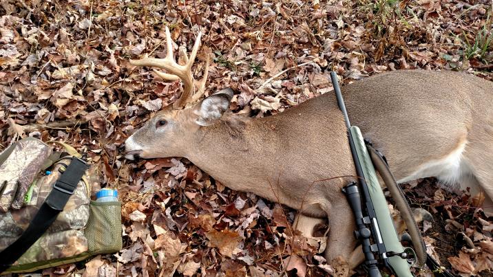 2015 Deer hunting results/pics-img_20151121_112139601-jpg