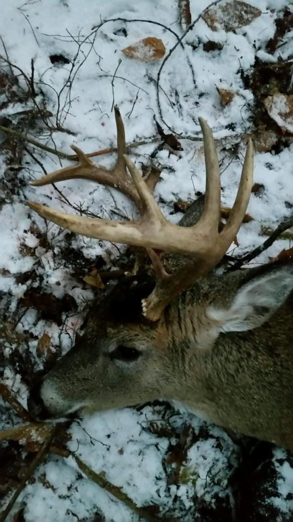 2015 Deer hunting results/pics-20151124_073839-jpg