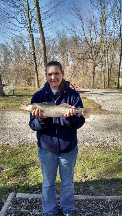 First time out was a success-walleye-4-jpg