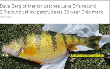 New Lake Record Perch?-lake-record-perch-jpg