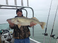 Share your Trophy Walleye Pics from this past season-image-jpeg