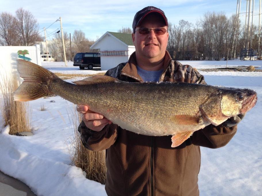 Share your Trophy Walleye Pics from this past season-walleye-jpg