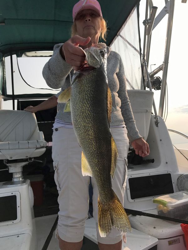 Phenomenal fishing right now-2017-sept-16-tina-logan-24-inch-walleye-jpg