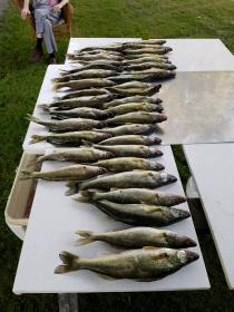 7/9. Avon walleye report-received_1670193789774981-jpg