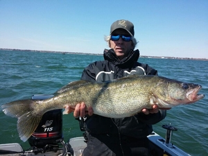 I am getting the Walleye fever bad...-fish-jpg