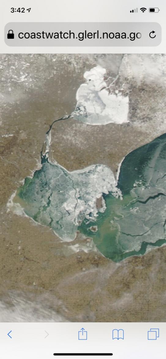 Catawba Ice Fishing?!-satellite-3_8_19fullsizeoutput_1ca2-jpg