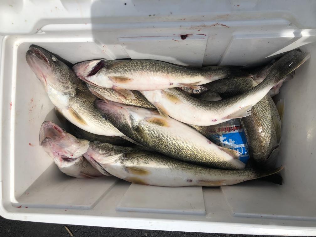 Fishing with Tim McGlothlin 5/24/19-tim-mcglothlin-5_24_19d-jpg