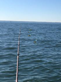 Fishing with Todd, Kelly, and Scott 11/9/2020-todd-kelly-scott-11_9_20209-jpg