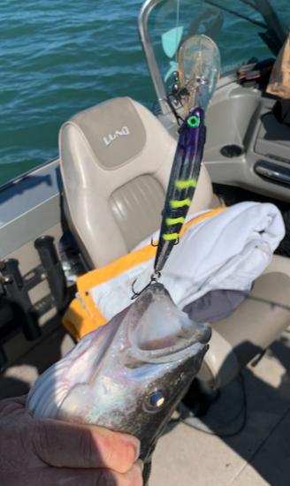 Saturday Morning Report - Jigging then Trolling-chrome-purpleishious-fish-2_april_2022-jpg