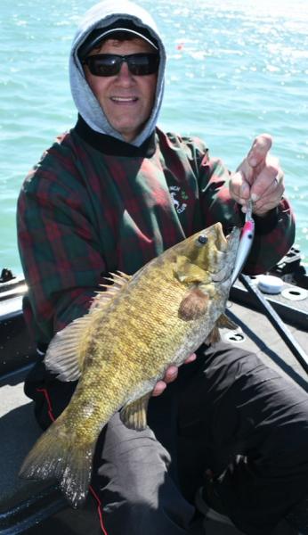 Awesome trolling bite near the D-River in Erie-natural-shad_smallie_may_22-jpg