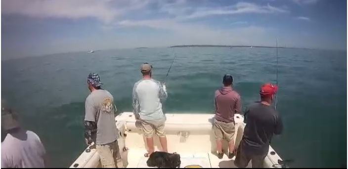 Live Lake Erie fishing webcam is online-ilakeerie-webcams-page-chartercam-screenshot-cropped-051522-jpg