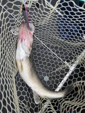 Fishing with Danny and Charlie....5/29/2025-danny-charlie-5_29_255-jpg