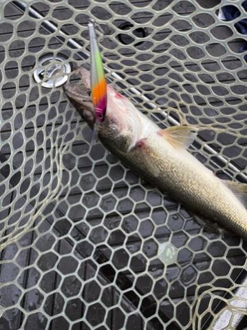Fishing with Danny and Charlie....5/29/2025-danny-charlie-5_29_252-jpg