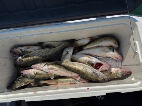 Fishing with David, Fred, and Craig....6/1/2025-david-fred-craig-6_1_254-jpeg
