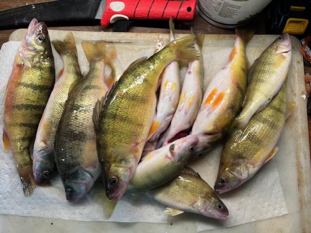October 17th SE of Gan near my honey hole-img_2569-jpg