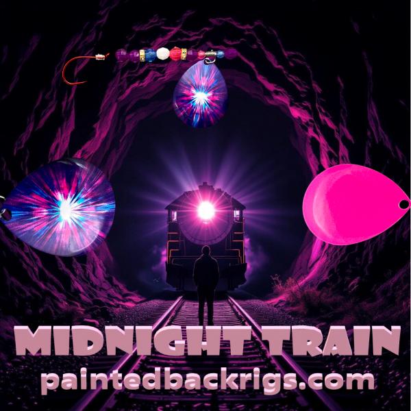 More New Custom Crawler Harnesses for 2026 from Painted Back Rigs-midnight-train-jpg