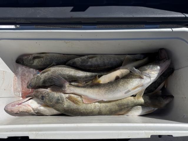 Fishign with Steve, Denny, and "Ollie" (Mark)...4/11/2026-fishing-steve-denny-ollie-4_11_263-jpg