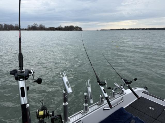 Fishing with Vito....4/12/2026-vito-4_12_20262-jpg