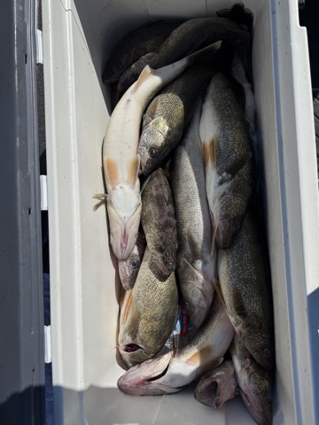 Fishing with Bill and Glen...4/17/2026-bill-glen-4_17_2612-jpeg