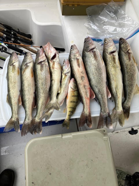 Success!-fish3-jpg