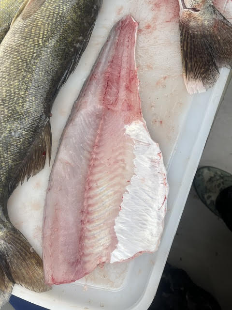 Success!-fish5-jpg