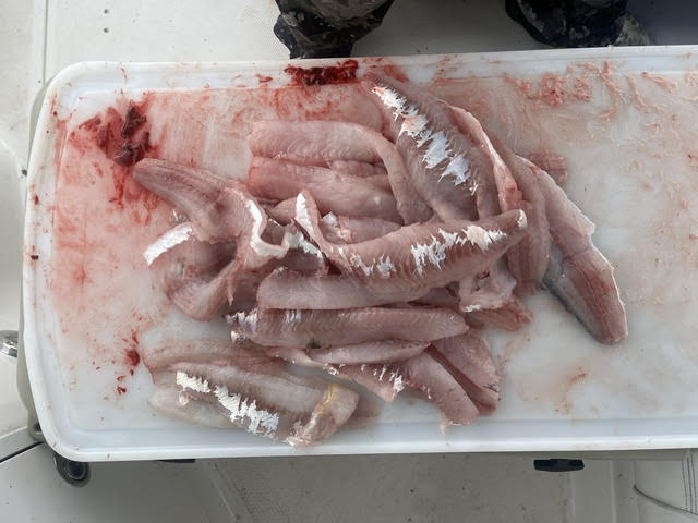 Success!-fish6-jpg
