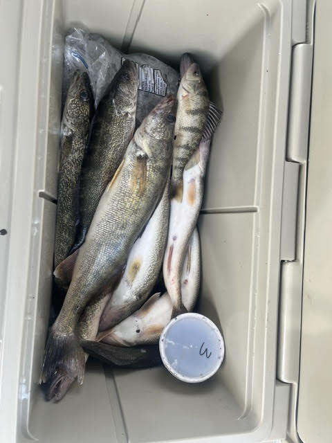 Success!-fish8-jpg