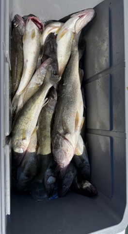 Fishing with Ed, Tim, and Rick...6/24/2026-ed-tim-rick-6_24_20267-jpeg