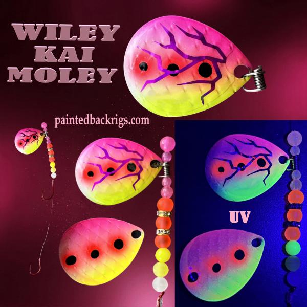 Name:  2026 wiley kai moley.jpg
Views: 10
Size:  50.6 KB