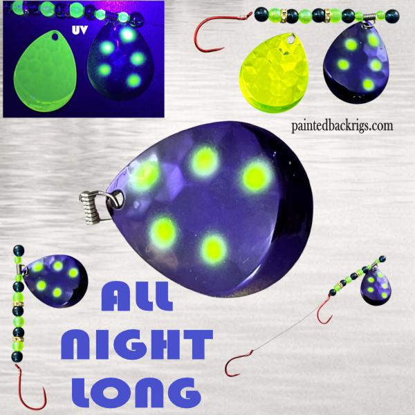 Name:  2026 all night long.jpg
Views: 10
Size:  52.3 KB