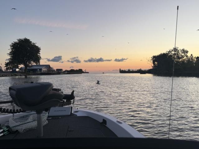 Fishing with Frank...8/25/2026-frank-smith-8_25_20261-jpg