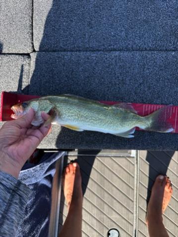 Fishing with Frank...8/25/2026-frank-smith-8_25_20265-jpg